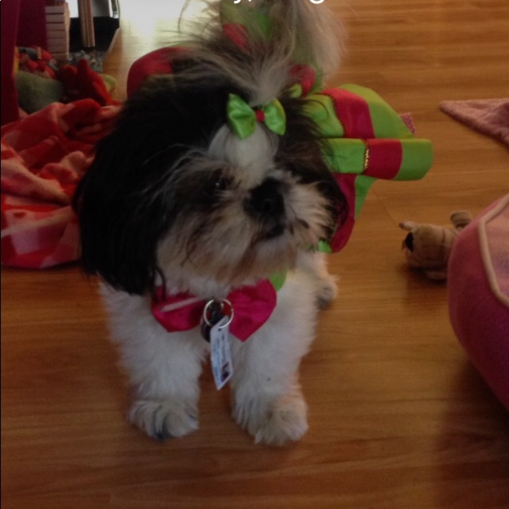 Meet your Posher, Helene